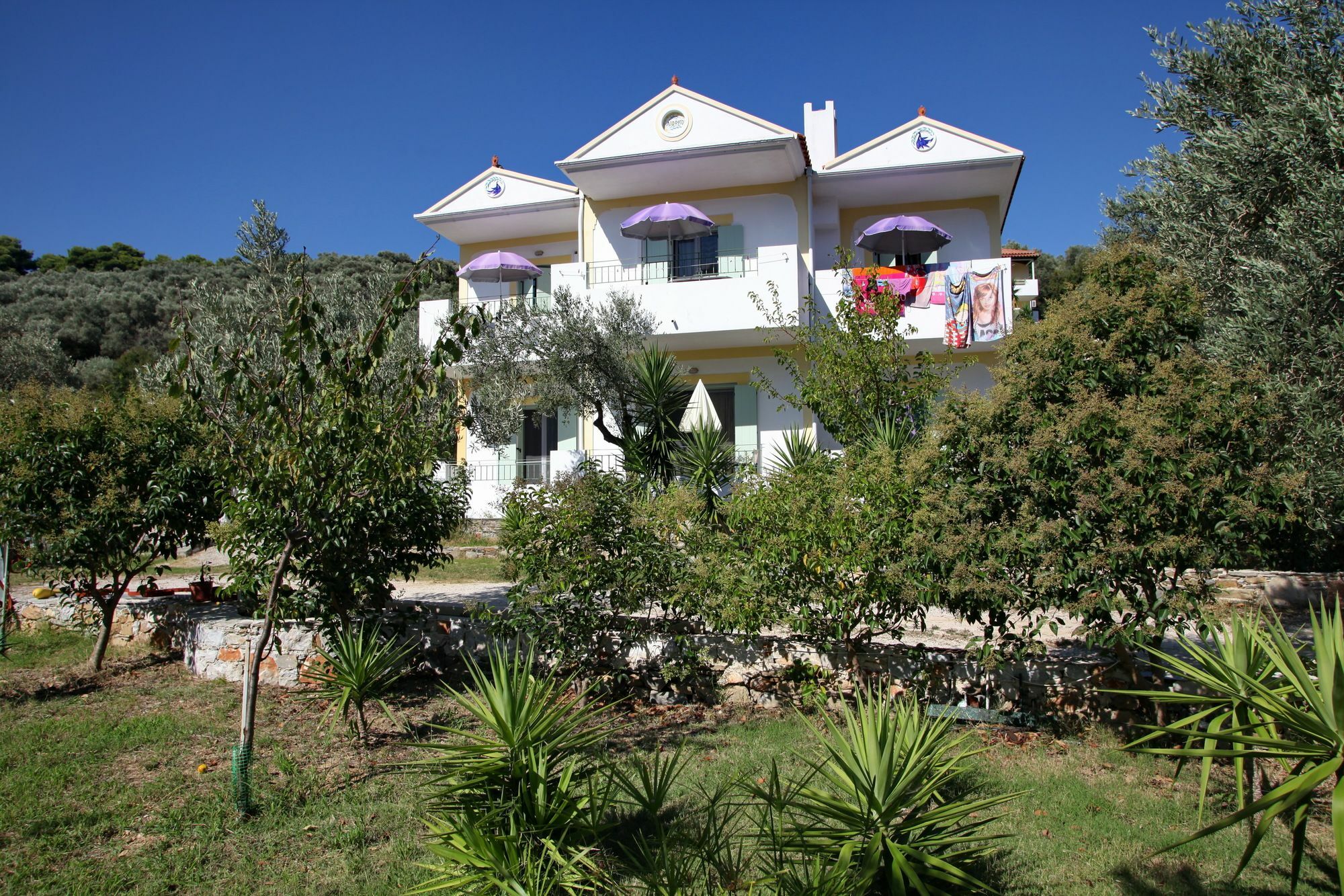Λιόφωτο Διαμέρισμα Σκόπελος Εξωτερικό φωτογραφία
