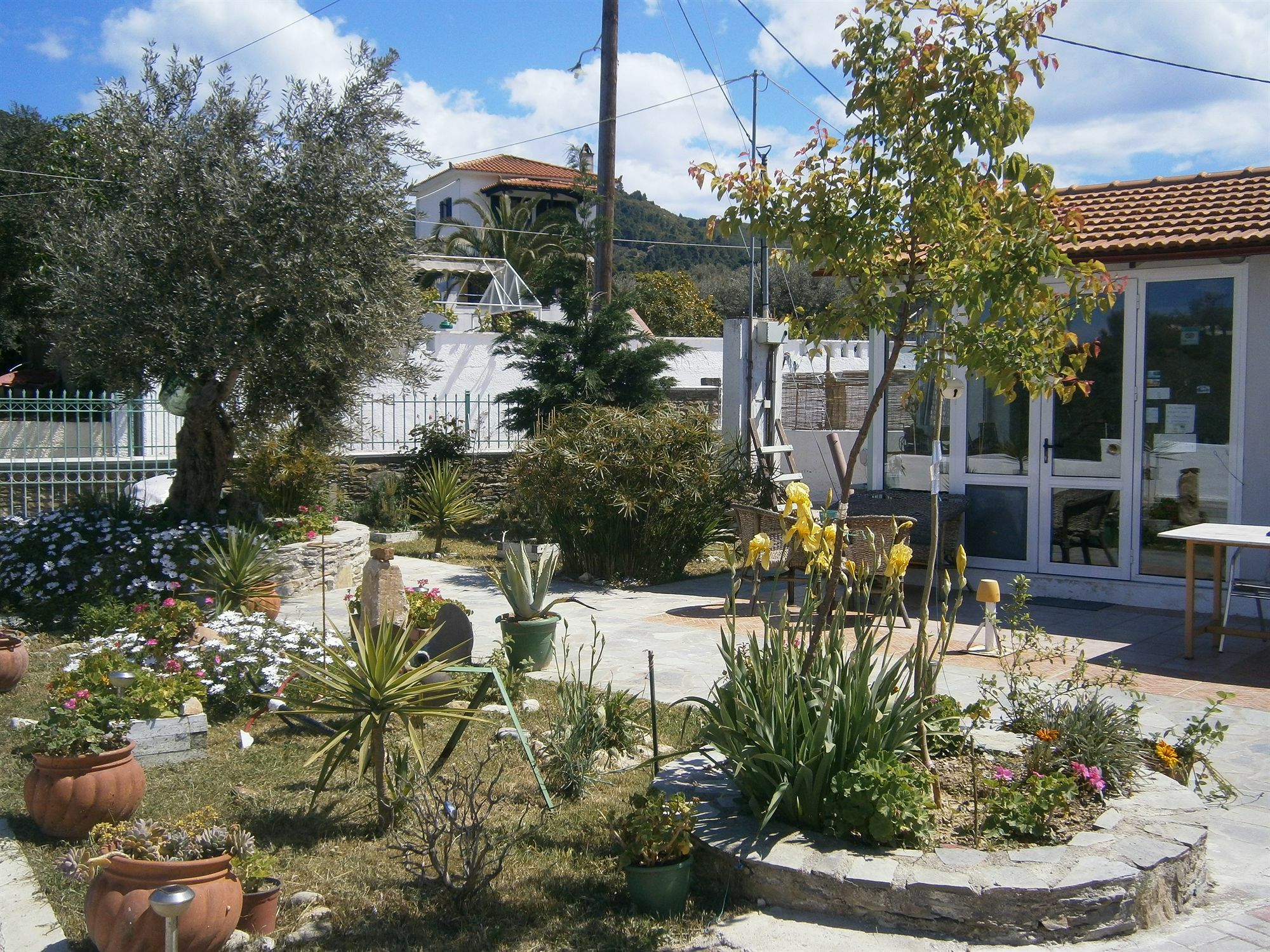 Λιόφωτο Διαμέρισμα Σκόπελος Εξωτερικό φωτογραφία